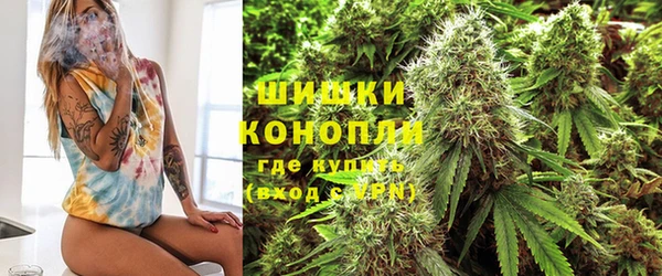амф Балахна