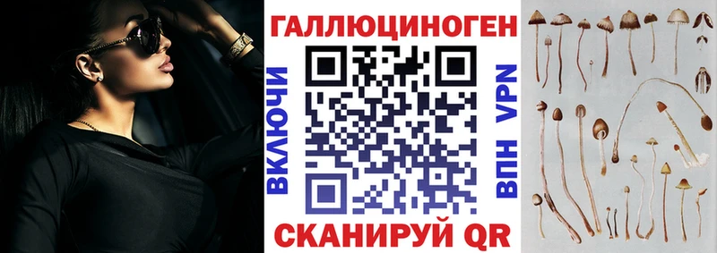 Псилоцибиновые грибы Psilocybine cubensis  Кувандык 